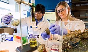 two students working in lab coats working with chemicals in a lab