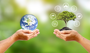 one hand holding a globe and another holding a tree
