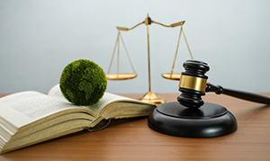 book with green earth on top and gavel next on table