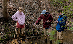 students outside doing research in a stream