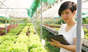 student holding notebook while looking at plants