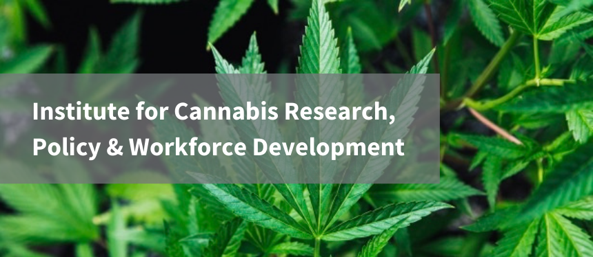 The Rowan University Institute for Cannabis Research