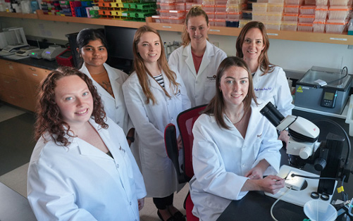 From left, lab members Lilly Boltz, third-year doctoral student; Tanisha Sharma, junior; Dawn Williams, third-year doctoral student; Amy Appollina, senior; Katie Wooster (seated), senior; and Maggie Panning Pearce, Ph.D., are studying how Huntington's disease progresses in the brain.