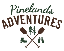 Pinelands Adventures logo