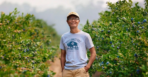 Dr. Nguyen in blueberry field