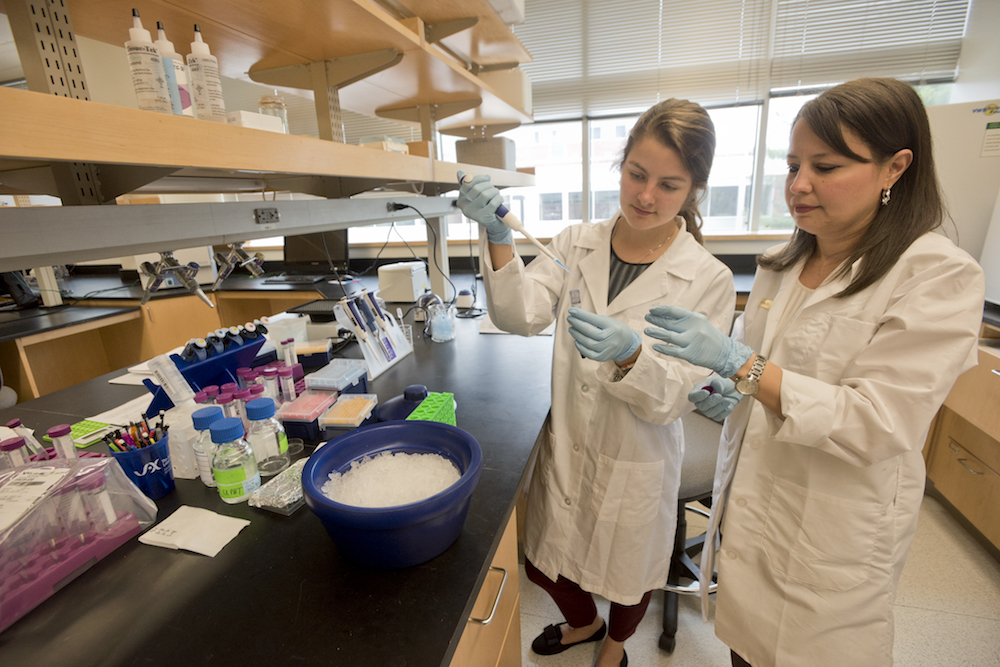 two female students working in a molecular biology lab