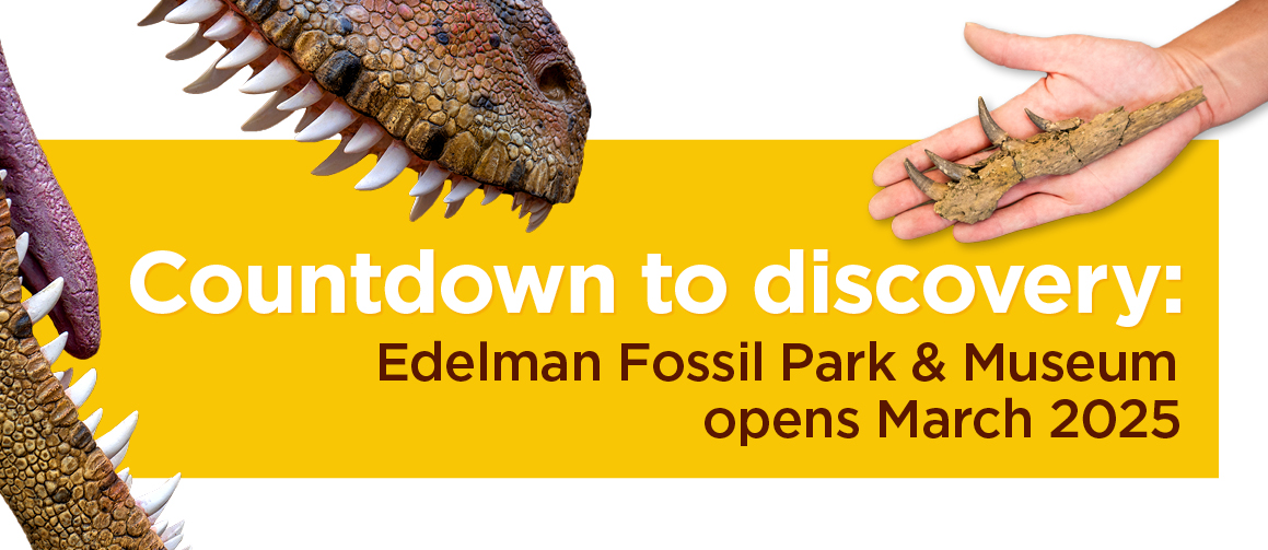 Countdown to discovery: Edelman Fossil Park & Museum opens March 2025